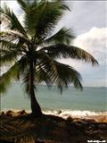 Playa de Rincón - RINCÓN